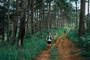 BIB: 
                            <button type="button" onclick="openModal(25666791)" class="btn btn-primary btn-sm float-right btn-popup" data-toggle="modal" data-target=".modal-high-quality">
                        <i class="fas fa-shopping-cart"></i> Add to Cart
                    </button>
                                            <button type="button" onclick="isThisMe(25666791, true)" class="btn btn-success btn-sm float-right btn-popup btn-isme hidden" data-toggle="tooltip" data-placement="bottom" title="นี่คือรูปของคุณใช่ไหม คลิกที่นี่เพื่อเอาเข้าอัลบั้ม">
                        <i class="fas fa-plus"></i> Add to album
                    </button>
                    <button type="button" onclick="isThisMe(25666791, false)" class="btn btn-warning btn-sm float-right btn-popup btn-isnotme hidden">
                        <i class="fas fa-ban"></i> Remove from album
                    </button>